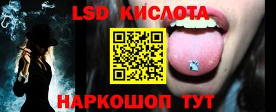 шишки Сланцы