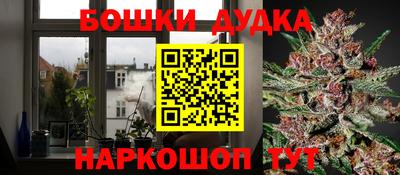 шишки Сланцы