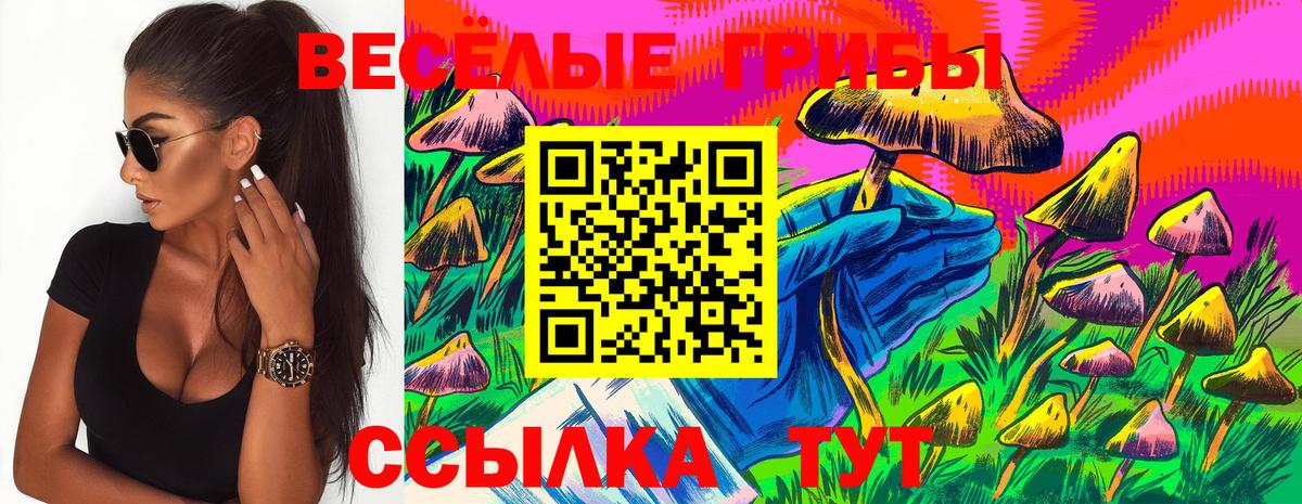 Галлюциногенные грибы MAGIC MUSHROOMS  Вход с VPN  Мыски 